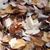 Sherry Overby's profile image