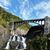 Kathy Cselinacz Bugbee's profile image