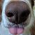 Ann Waterbury's profile image