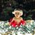 Sara Beth Paredes's profile image