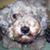 Jane Marie Garcia's profile image