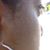 April Durden's profile image