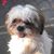 Sally Tice's profile image