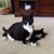 Judy Schnakenberg's profile image