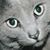 Monica Garcia's profile image