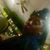 Admas Williams's profile image