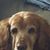 Cathy Skinner's profile image
