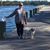 Patti Collins's profile image