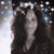 Michelle Larson's profile image
