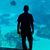 Michael Albright's profile image