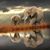Amy Ouellette's profile image