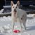 Kevin R Hannum's profile image