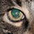 Vickie Leach Prater's profile image