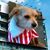 Patches Antonio's profile image