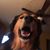 Kevin Rusch's profile image