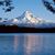 Sally Hardenbrook's profile image