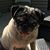 Heather Hammond LaBeau's profile image