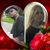 Susan Jerome's profile image