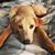 Julianne Markiewicz's profile image