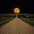 Calvin Bonsall's profile image