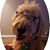JJ Beach's profile image