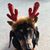 Brenda Freel's profile image