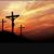 Holly Carter Wallace's profile image