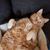 Karri Grenier's profile image