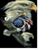 Mel Kindred's profile image