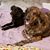 Mary J Kessinger's profile image