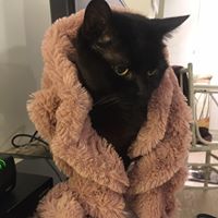Susan Wolfe's profile image
