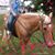 Charity Pitts Liles's profile image