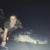 Anna Rowlen Fowler's profile image