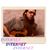 Zakary Spencer's profile image