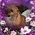 Barb Dawson's profile image