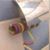 Thomass Stutzki's profile image