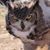 Todd Cason's profile image