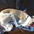 Mary Lou Graham's profile image