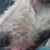 Duane Dimmitt's profile image