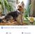 Francia L Torres's profile image