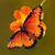 Wuerita Velazquez's profile image