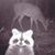 John Woellner's profile image