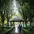 Shonagh Sheahan's profile image