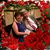 Mimi Shaheen Hardgrove's profile image