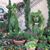 Lettie Nosek's profile image