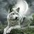 Pam Wolf's profile image
