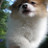 BarbaraB's profile image