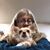 Debbie Watson's profile image