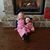 Sara Catherine Tapley's profile image