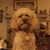 Cheryl Otto Arndt's profile image